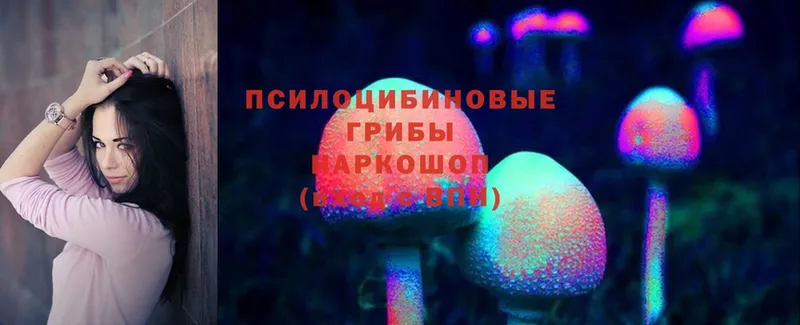 Галлюциногенные грибы Magic Shrooms  дарк нет клад  Лениногорск 